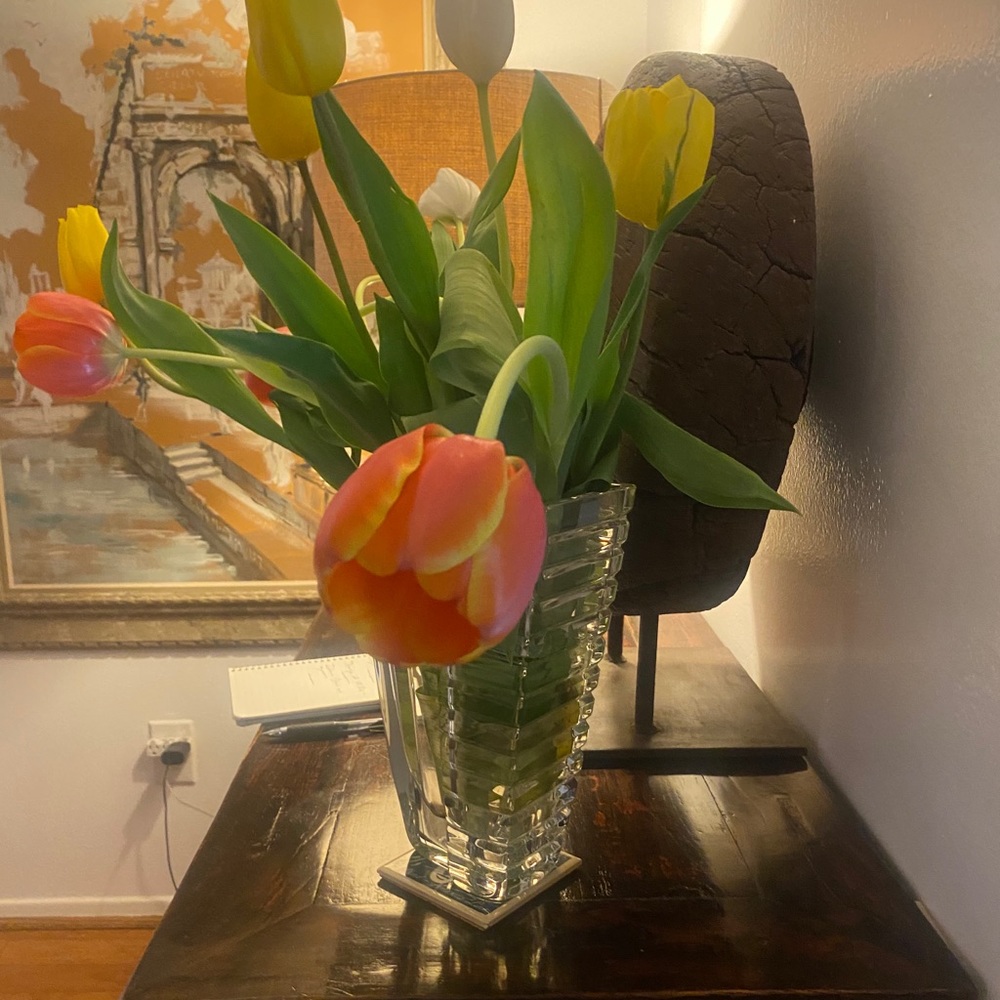 Meet your Posher, Maria